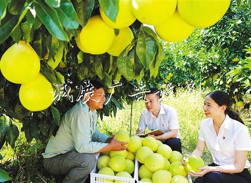 【大美中国】广告灯箱多少钱一个金秋时节庆丰收