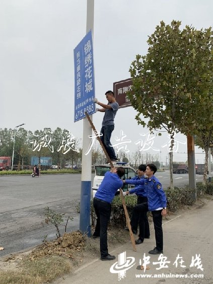 拆！合肥一楼盘私垃圾分类亭设“李鬼”指路牌