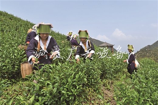 深山土瑶户外滚动灯箱脱贫路