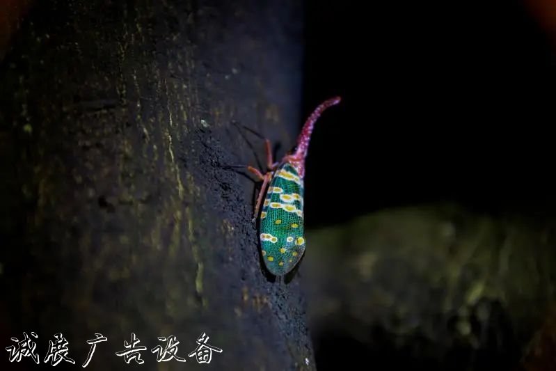 霓虹璀璨的不夜城里，太阳能垃圾桶让我们一起守护这片黑暗