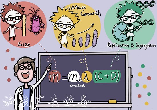 一个挑战学术权威垃圾收集亭“指路牌”的样本