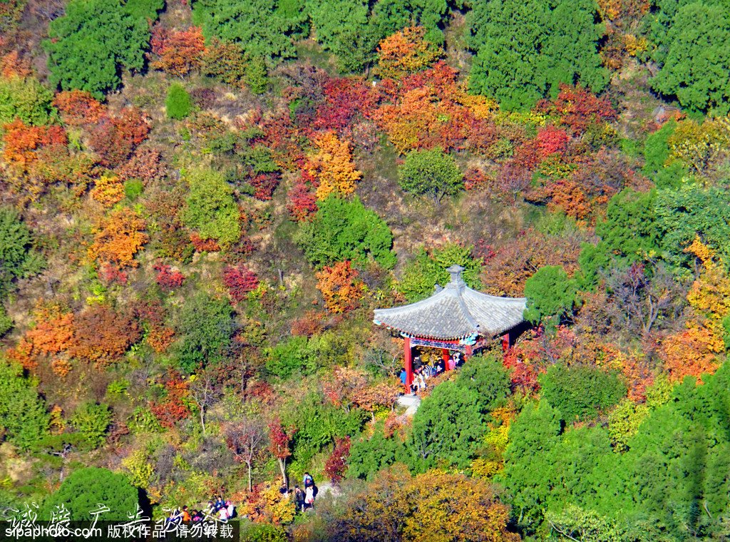 北京旅游文化宣传栏网资源库