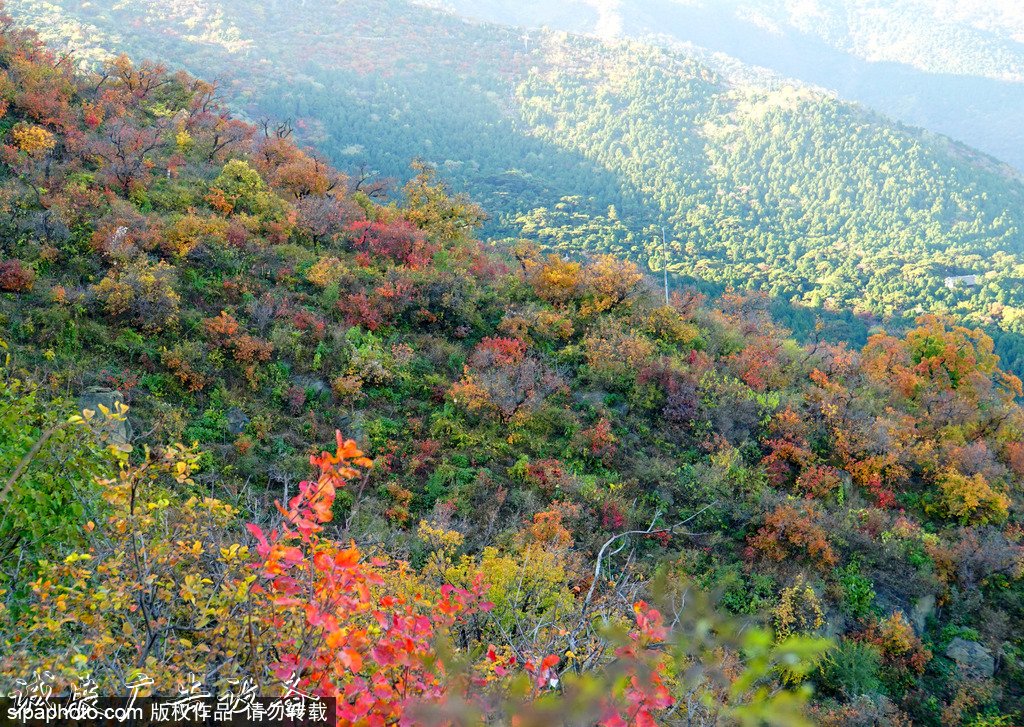 北京旅游文化宣传栏网资源库