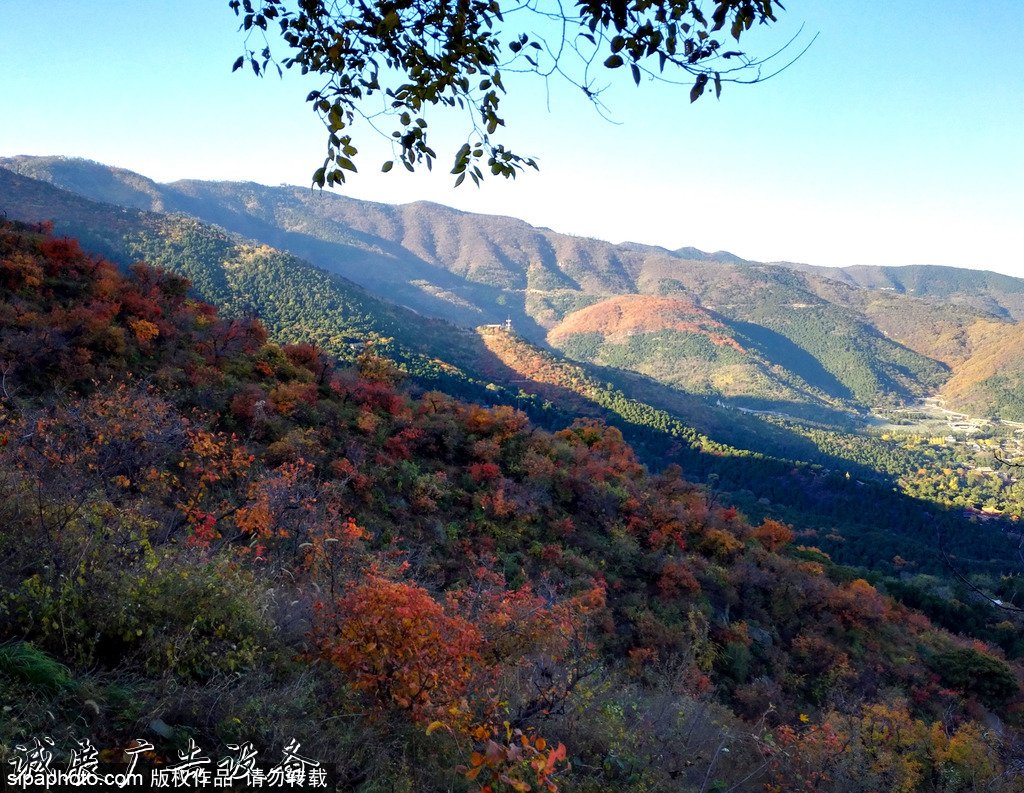 北京旅游文化宣传栏网资源库