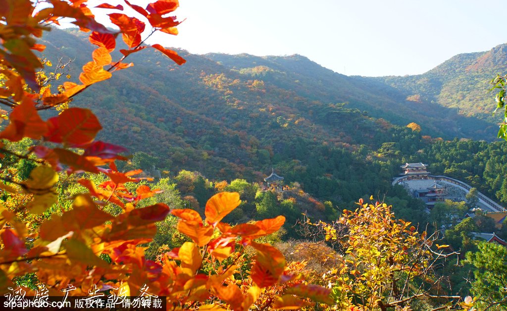 北京旅游文化宣传栏网资源库