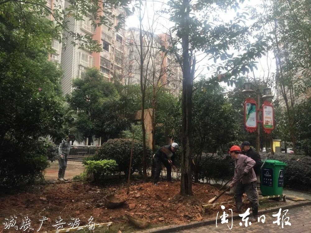 首批82个垃圾分类屋春指路牌灯箱节前建成！有你家小区吗？