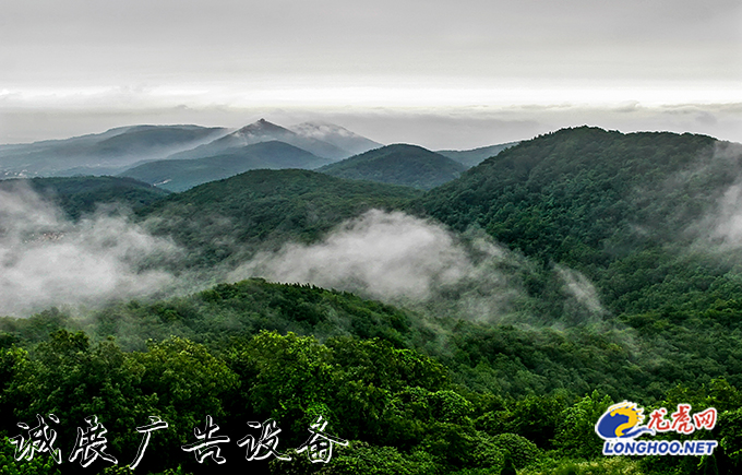 南京浦口：美丽乡村广告垃圾箱新画卷 风景这边独好